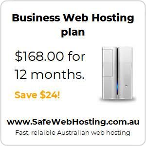 Business web hosting - 12 months